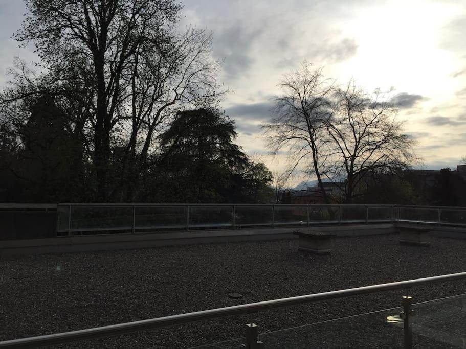 Aurora A Champel Avec Terrasse *