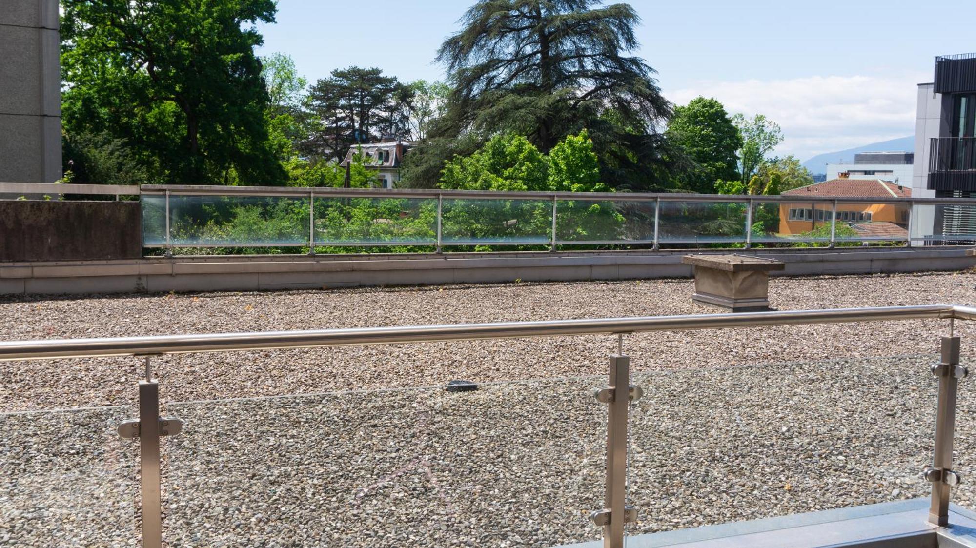 Aurora A Champel Avec Terrasse Apartment Geneva